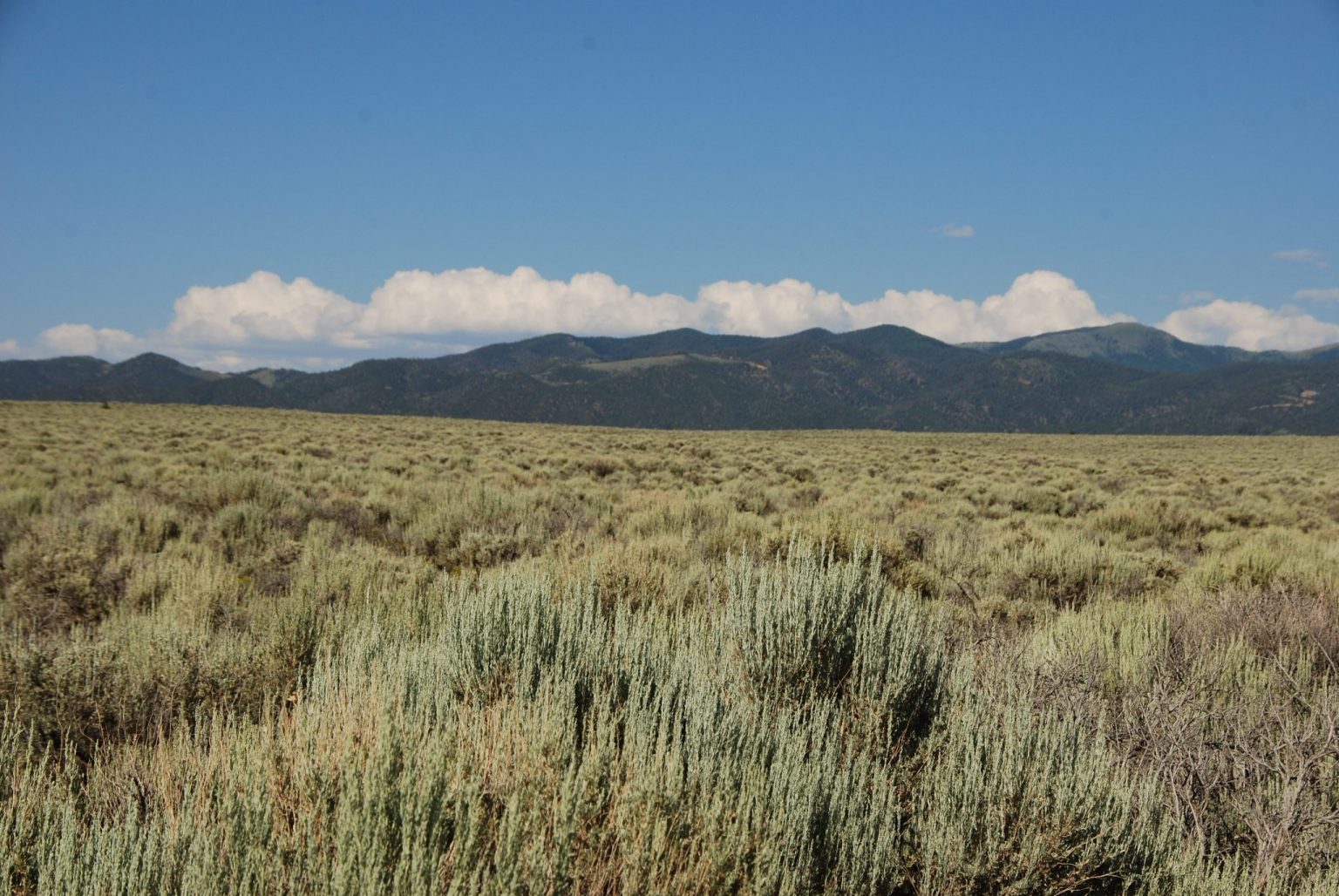 DSC_02722048x13711 Open Plains Properties