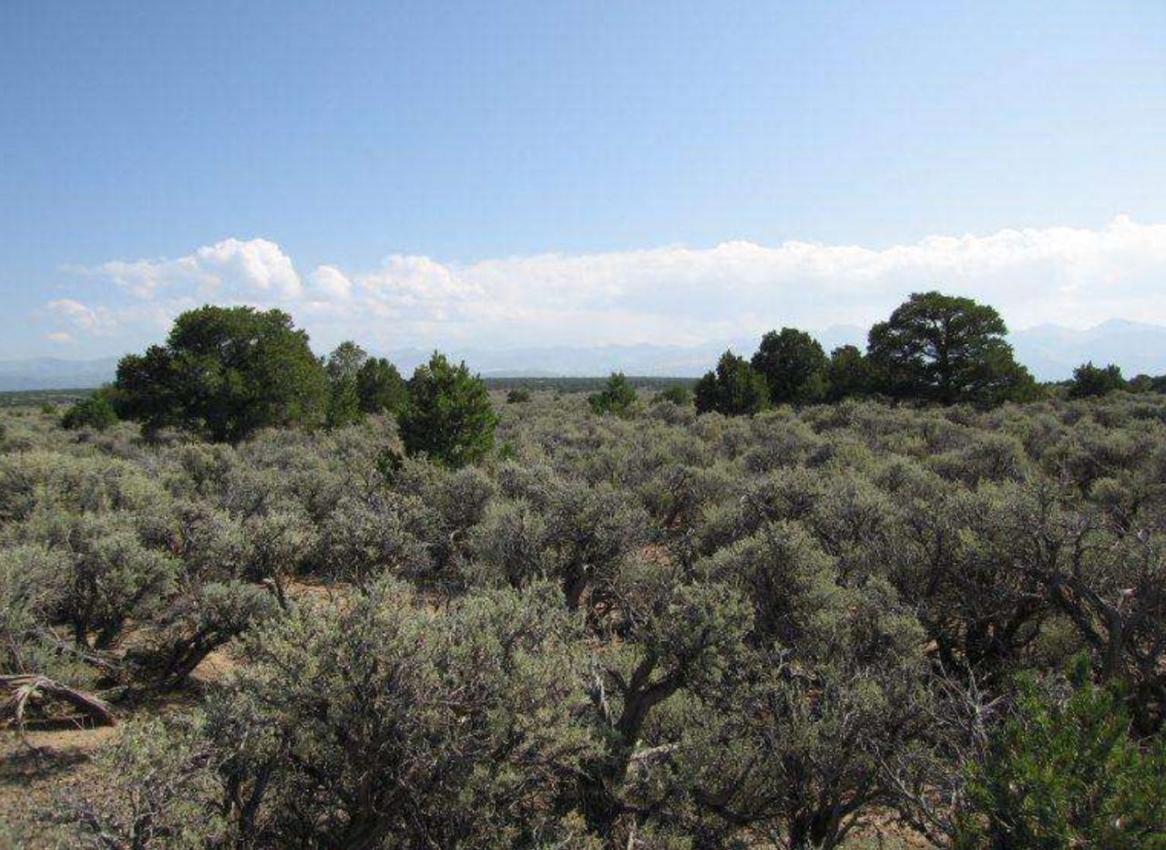 SOLD ->2.53 acres in Wild Horse Mesa near Sanchez Reservoir, CO