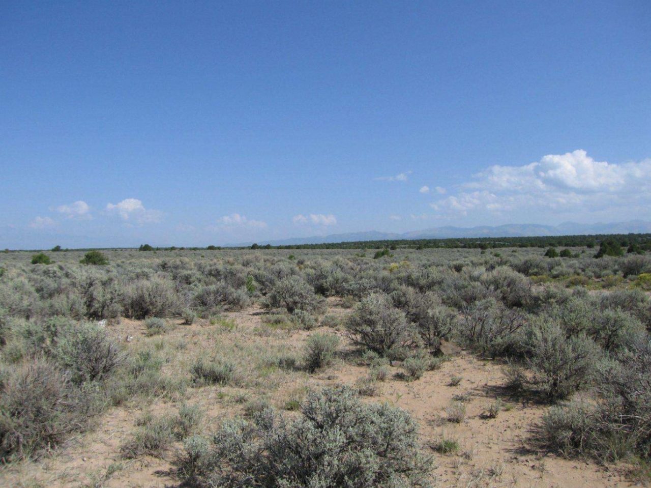 2.53 acres in Wild Horse Mesa close to Sanchez Reservoir, CO
