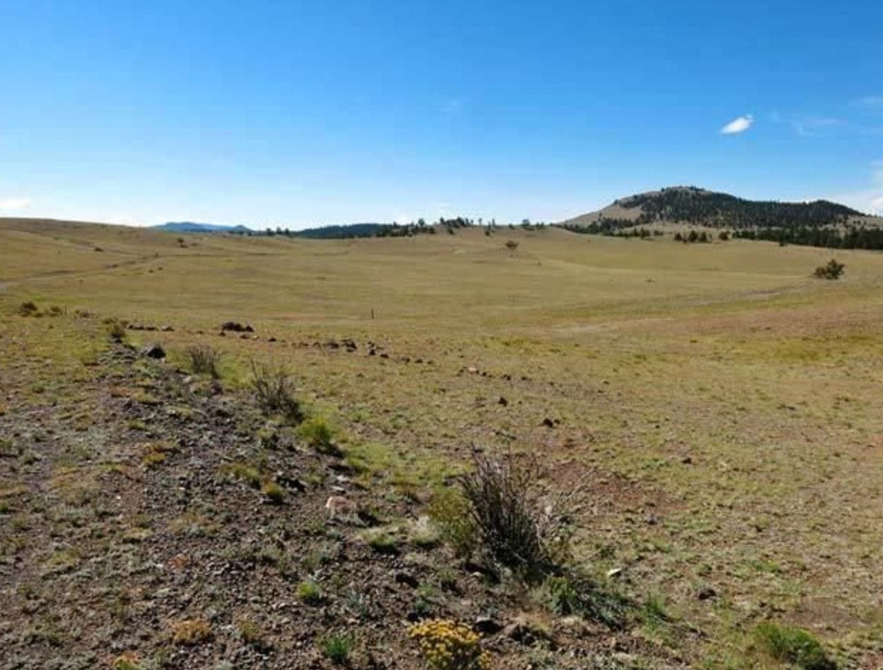 SOLD -> Homesite on 5 acres Milner Rd in Park County, CO