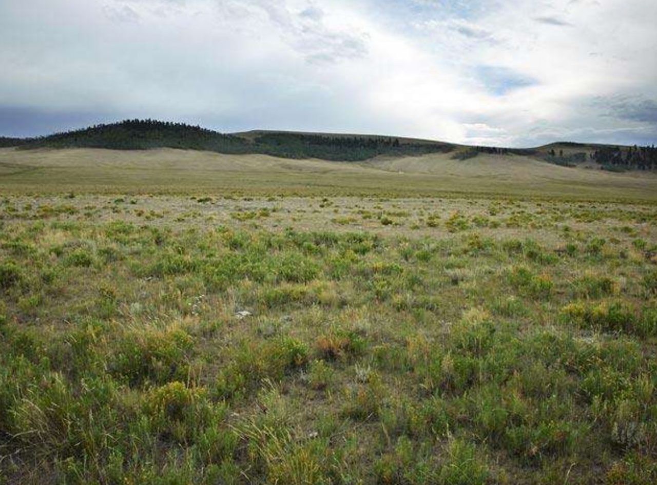 15 Residential Acres in Park County, CO