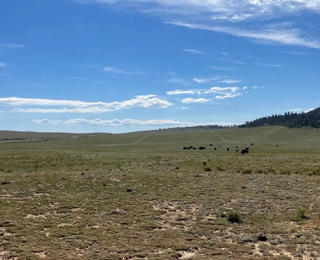 5 residential acres in Park County, CO on Chica Rd
