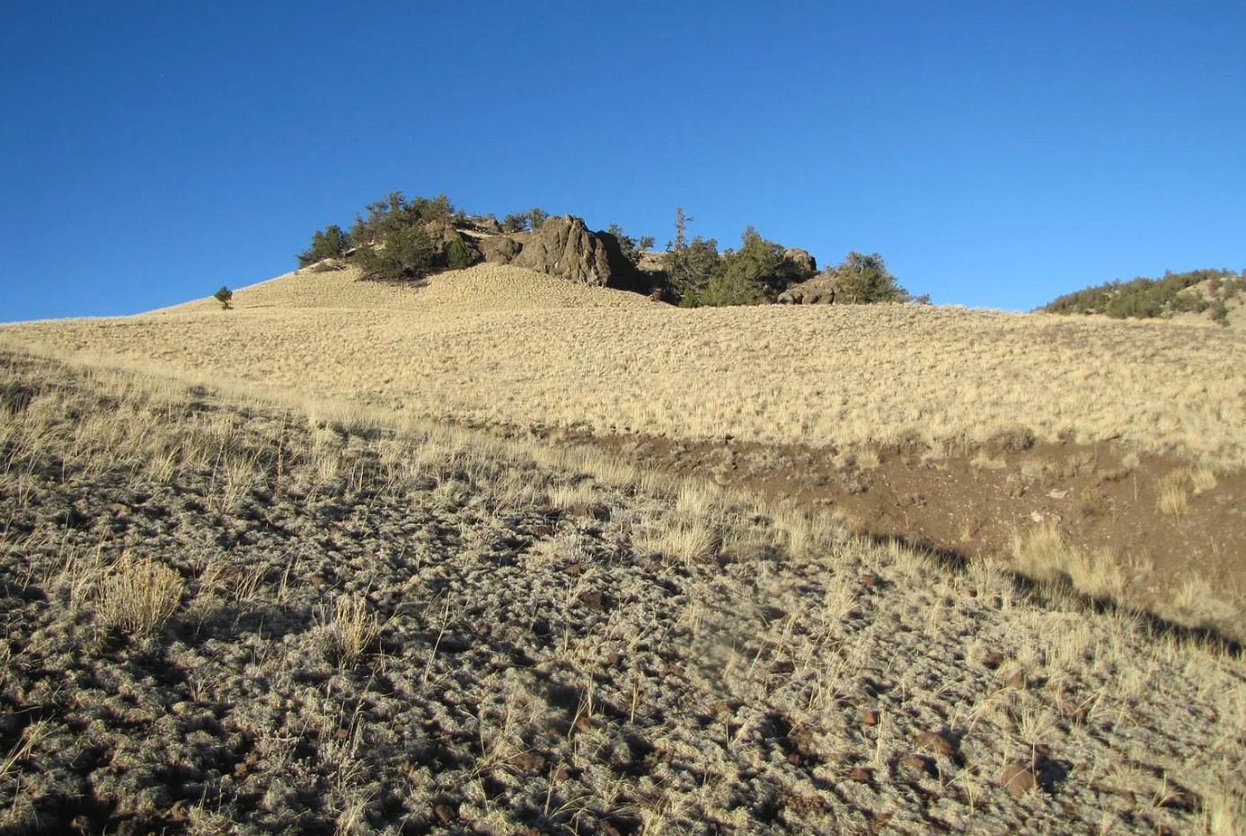 4.7- residential acres in Park County, CO on Wahostsa Trl