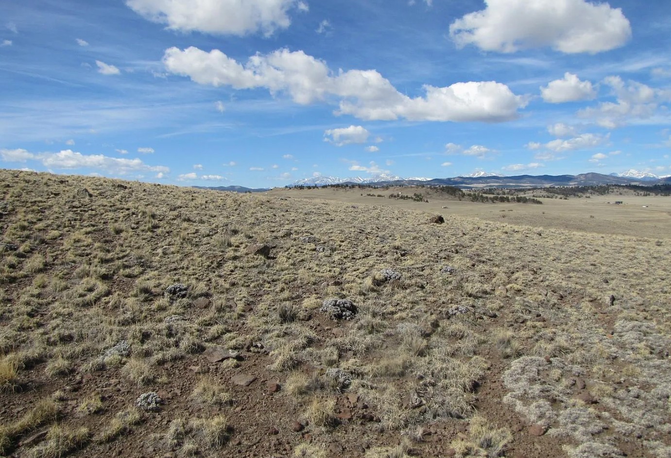 5.4 – residential acres in Park County, CO on Idaho Trl.