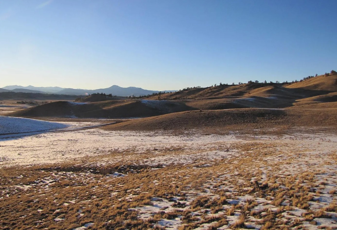 5.4 – residential acres in Park County, CO on Idaho Trl.