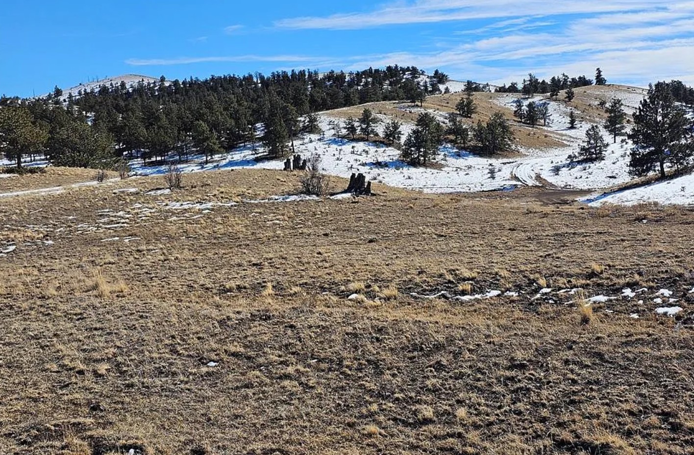 5.16 residential acres in Park County, CO on Falcon Rd