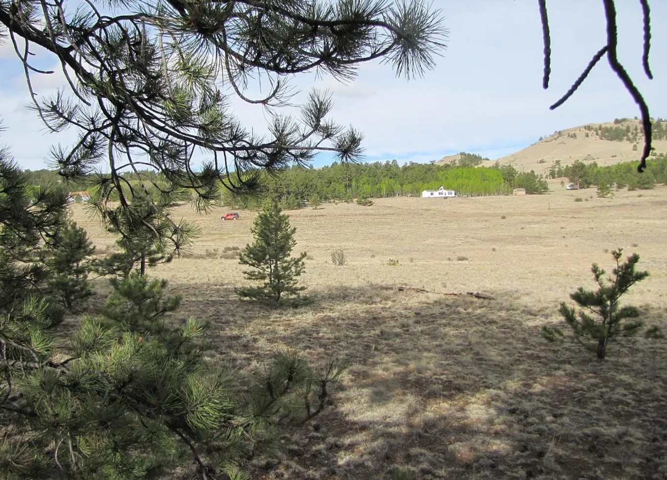 5.04 residential acres in Park County, CO on Falcon Rd