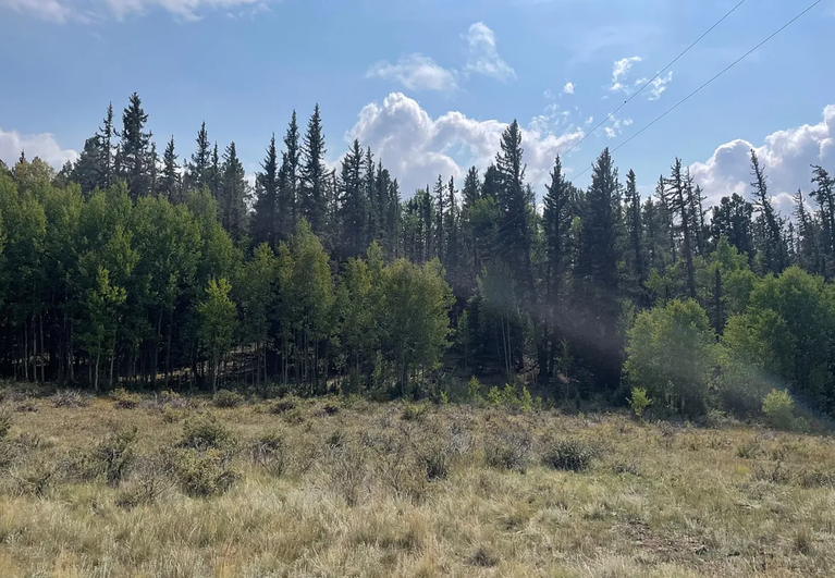 3 Acres in Indian Mountain, Park County, CO - Trees, Privacy, Power ...